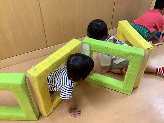 IMG_2537.jpg
