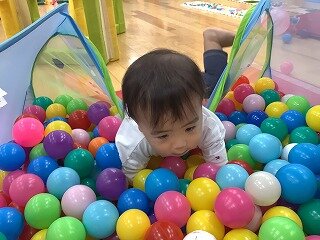 IMG_7981.jpg