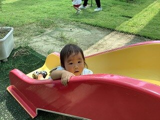 IMG_7994.jpg