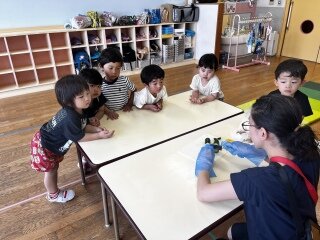IMG_7331.jpg