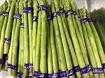 アスパラ１.jpg