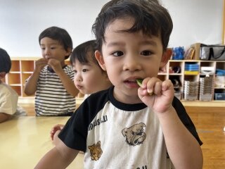 IMG_7333.jpg