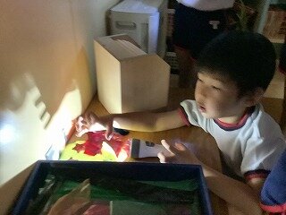 IMG_7857.jpg