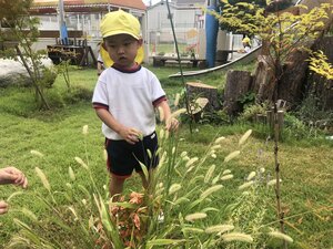 IMG_7869.JPG